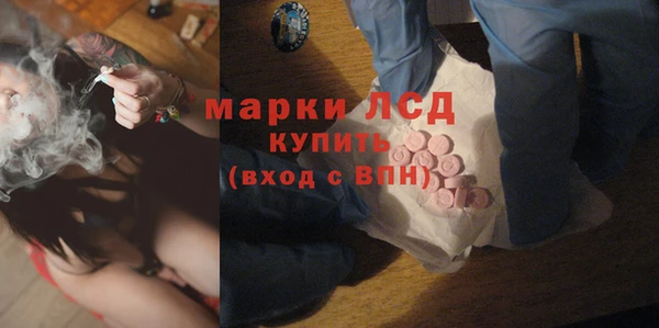 прущие грибы Абаза