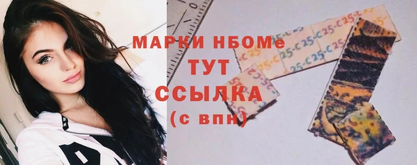 прущие грибы Абаза