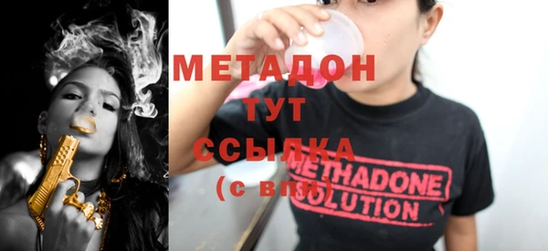 прущие грибы Абаза