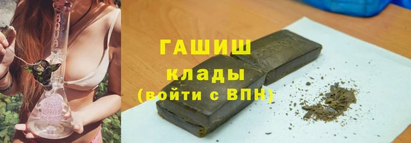прущие грибы Абаза