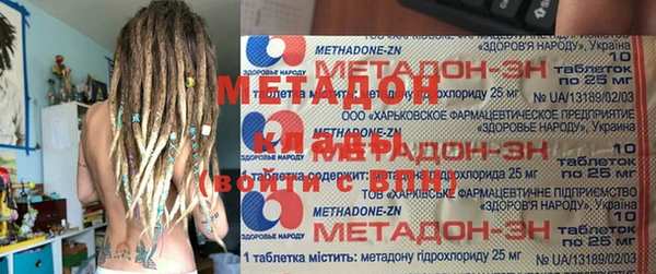 прущие грибы Абаза