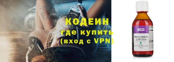 прущие грибы Абаза