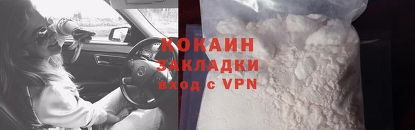 прущие грибы Абаза