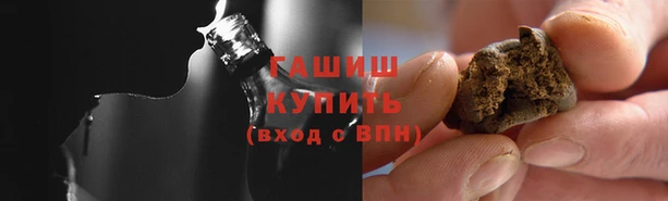прущие грибы Абаза