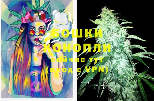 спайс Пересвет