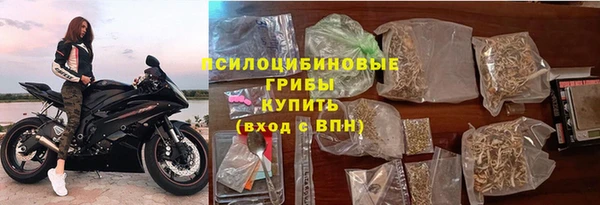 прущие грибы Абаза