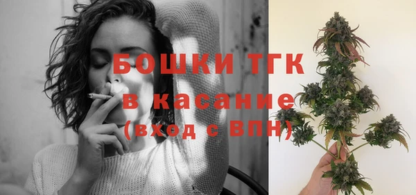 прущие грибы Абаза
